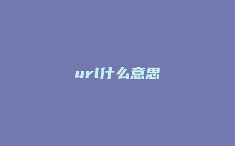 url什么意思