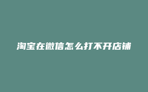 淘宝在微信怎么打不开店铺