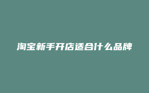 淘宝新手开店适合什么品牌