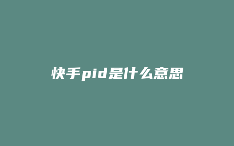 快手pid是什么意思