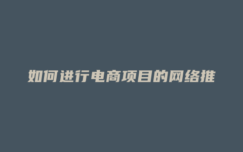 如何进行电商项目的网络推广计划