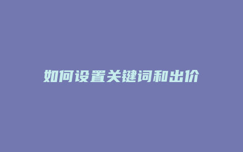 如何设置关键词和出价