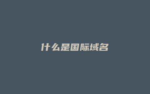 什么是国际域名