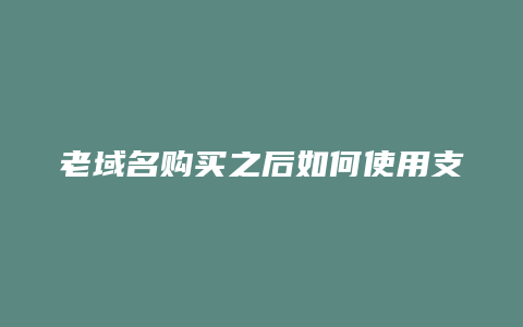 老域名购买之后如何使用支付宝