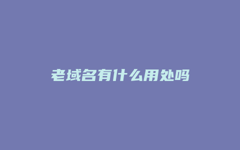 老域名有什么用处吗