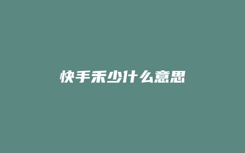 快手禾少什么意思