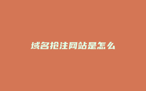 域名抢注网站是怎么