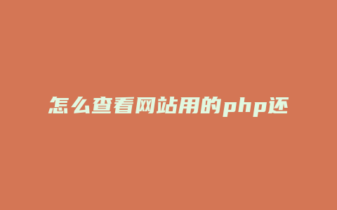 怎么查看网站用的php还是.net