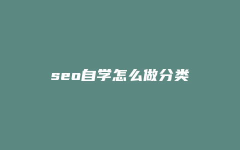 seo自学怎么做分类