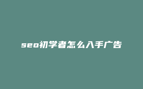 seo初学者怎么入手广告