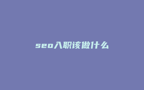 seo入职该做什么