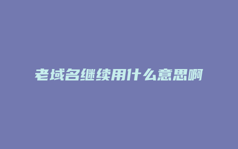 老域名继续用什么意思啊