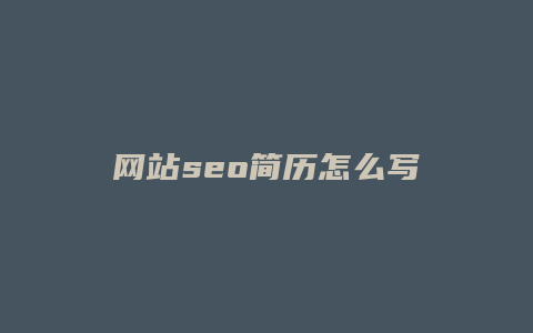 网站seo简历怎么写