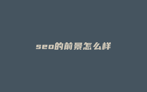 seo的前景怎么样