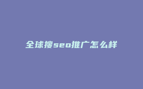 全球搜seo推广怎么样