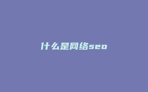 什么是网络seo