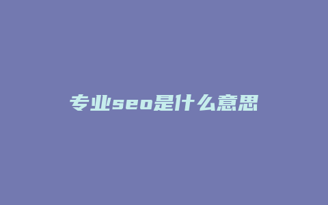 专业seo是什么意思