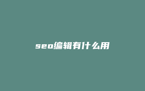 seo编辑有什么用