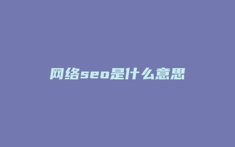 网络seo是什么意思