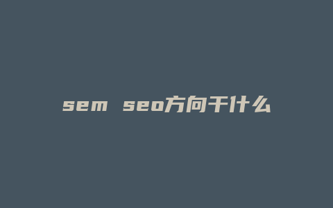 sem seo方向干什么