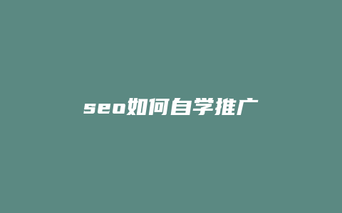 seo如何自学推广