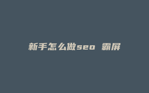 新手怎么做seo 霸屏