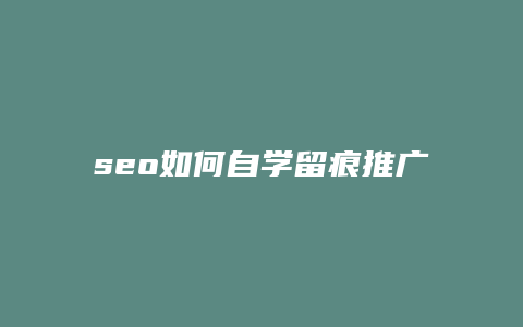 seo如何自学留痕推广