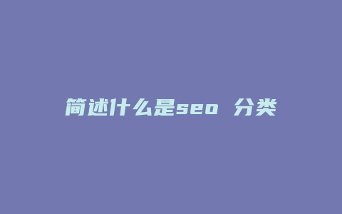 简述什么是seo 分类