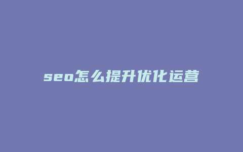 seo怎么提升优化运营