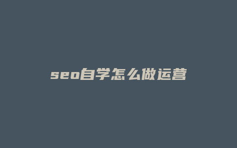 seo自学怎么做运营