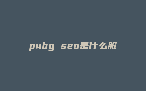 pubg seo是什么服