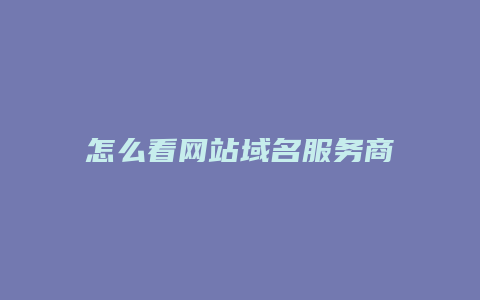 怎么看网站域名服务商