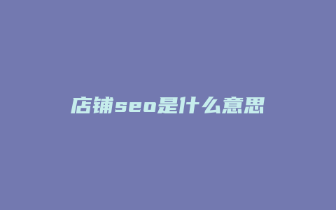 店铺seo是什么意思