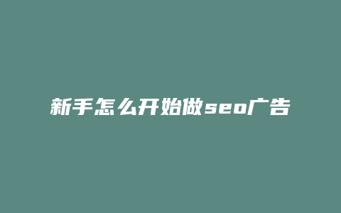 新手怎么开始做seo广告