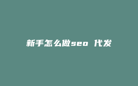 新手怎么做seo 代发