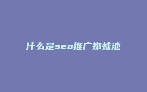 什么是seo推广蜘蛛池