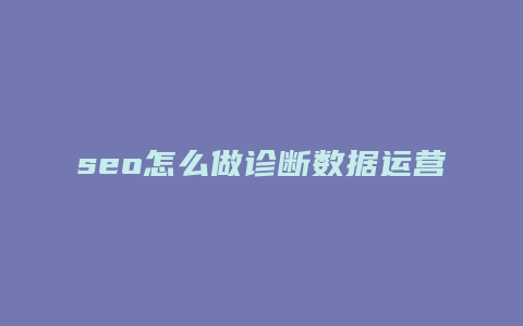 seo怎么做诊断数据运营