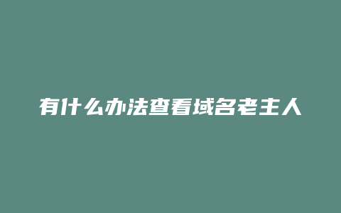 有什么办法查看域名老主人