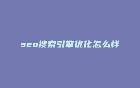 seo搜索引擎优化怎么样