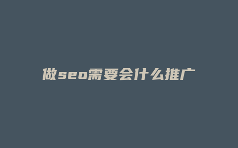 做seo需要会什么推广