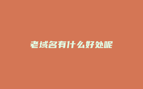 老域名有什么好处呢