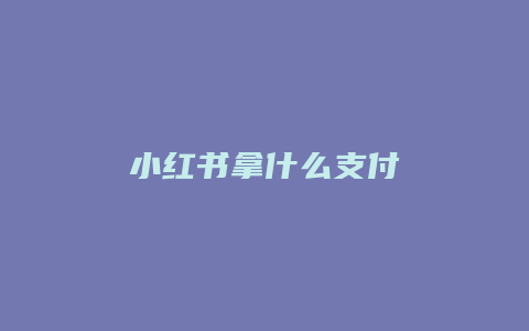 小红书拿什么支付