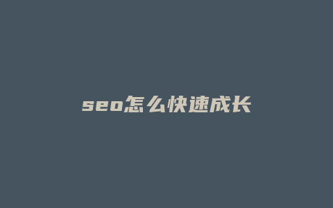 seo怎么快速成长