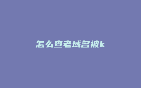 怎么查老域名被k