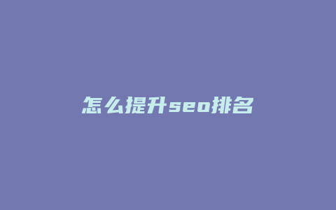 怎么提升seo排名