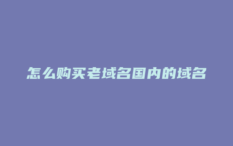 怎么购买老域名国内的域名