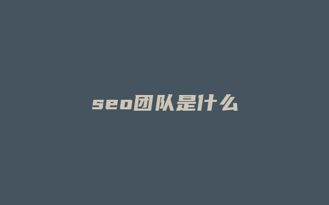 seo团队是什么