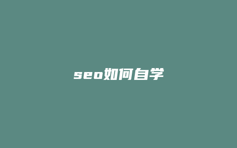 seo如何自学