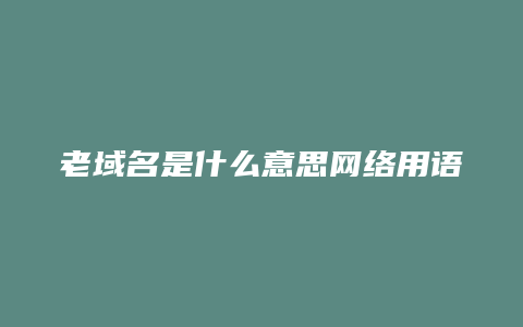 老域名是什么意思网络用语怎么说