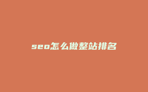 seo怎么做整站排名